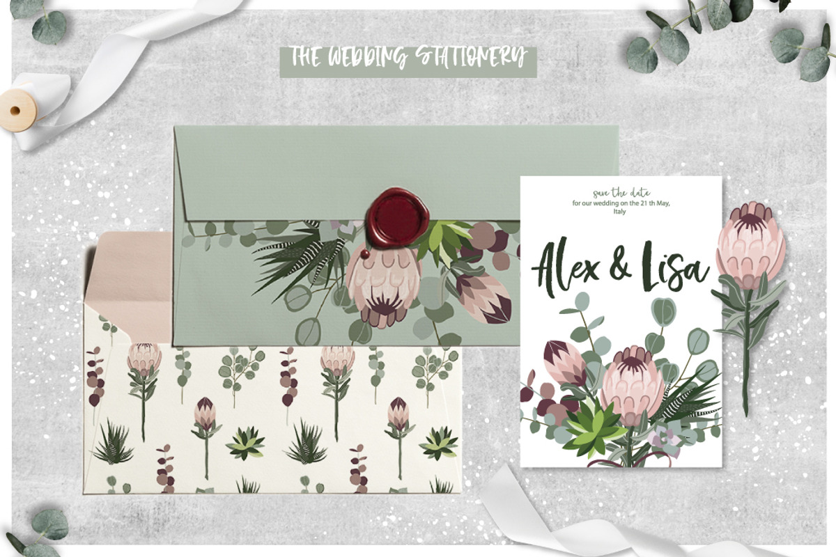 Protea - botanical garden collection, an Illustration by lokko studio (Photo 2 of 7)