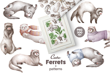 Cute Ferrets+patterns