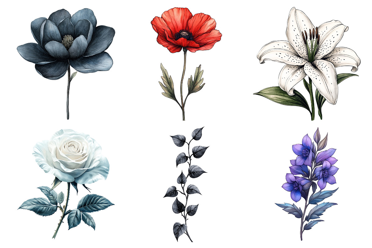 Goth Halloween Wildflowers Clipart, an Illustration by Daily.Designs (Photo 2 of 5)