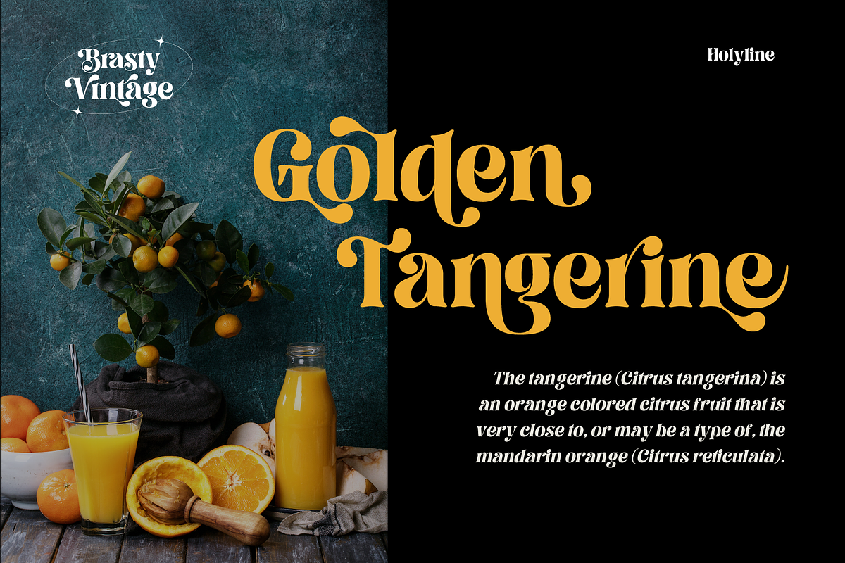 Brasty Vintage - Retro Serif Font, a Serif Font by Holyline Design (Photo 2 of 16)