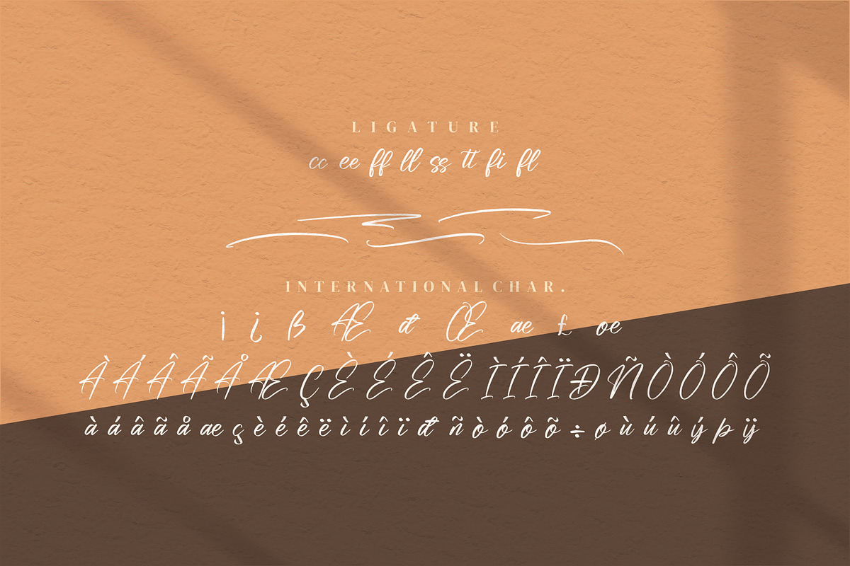 Risess Singature, a Script Font by Integritype Studio (Photo 6 of 7)