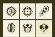 100 Anatomical Illustrations Set, an Education Illustration by Prosymbols (Thumbnail 8 of 11)