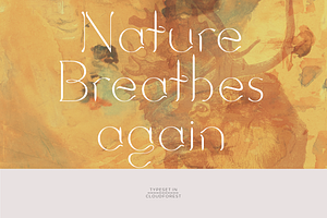 Cloudforest. Chic, Modern Serif Font