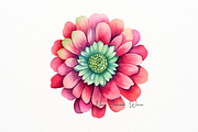 Vibrant Watercolor Zinnia Flower, a Decorative Illustration by New-School-Wave (Thumbnail 4 of 5)