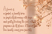 Berllies – Elegant Handwritten Font, a Handwritten Font by BrandSemut (Thumbnail 5 of 11)