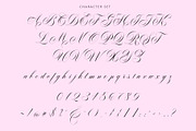Garncoleia - Romantic Script Family, a Script Font by Sealoung (Thumbnail 12 of 12)