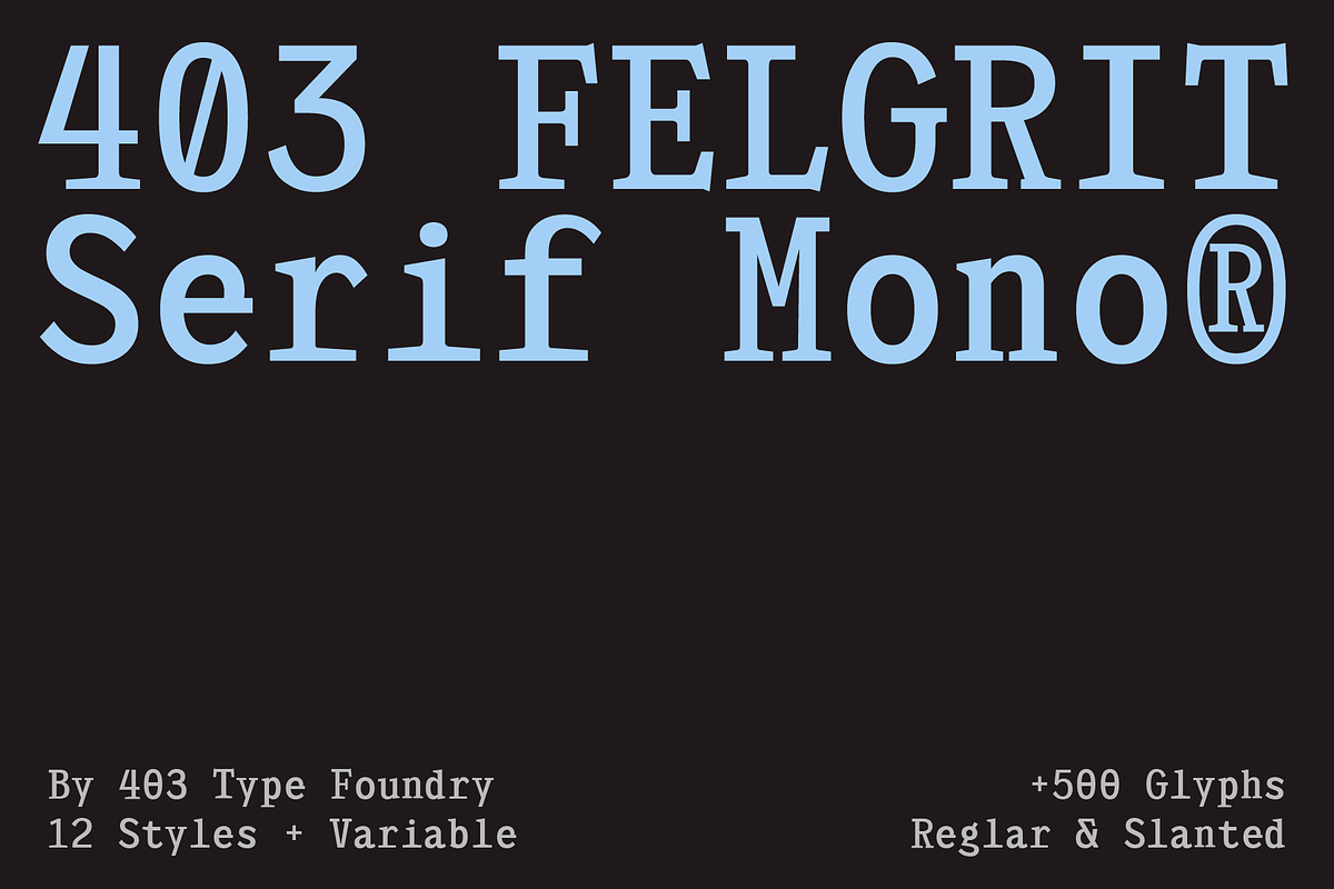 403 Felgrit, a Slab Serif Font by 403 Type Foundry (Photo 1 of 15)