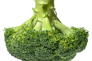 Fresh green broccoli floret with stalk, isolated background. Hea, a Food & Drink Photo by ndanko