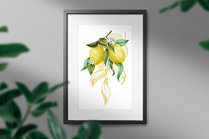 Lemons. Watercolor Collection