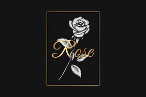 Elegant Rose Flower Hand Drawn