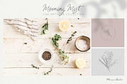 Morning Mist - Herb Collection, a Decorative Illustration by Momo Studio (Thumbnail 5 of 18)