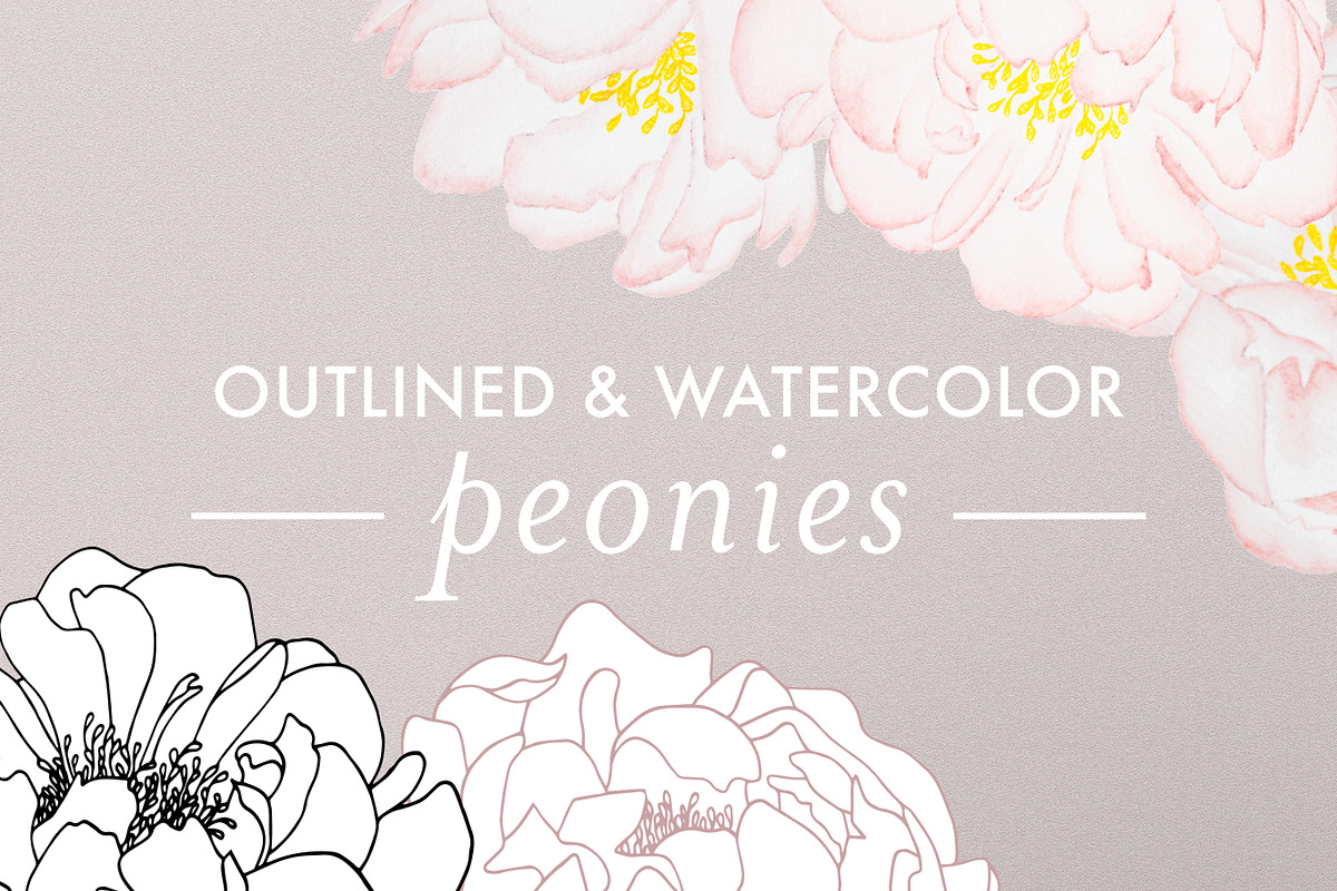 Outlined & Watercolor Peonies, an Illustration by sarahnuzum (Photo 1 of 6)