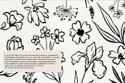 Hand Drawn Ink Botanical Elements, a Decorative Illustration by Irina Ostapenko (Thumbnail 9 of 10)