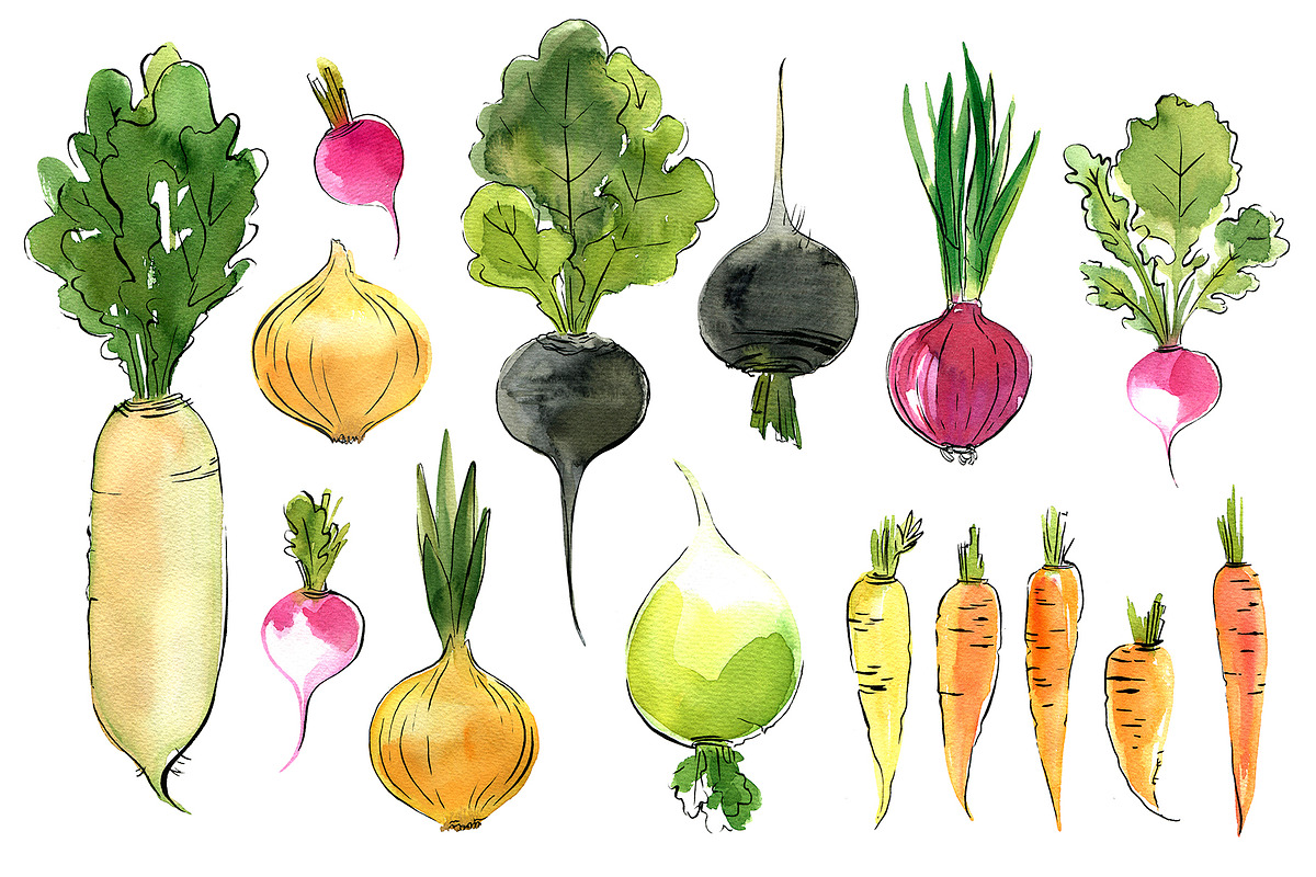 Food watercolor. Vegetables, a Food Illustration by irina.vaneeva (Photo 14 of 25)