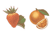 Strawberry and Orange, a Food Illustration by Irina Trusova (Thumbnail 1 of 5)