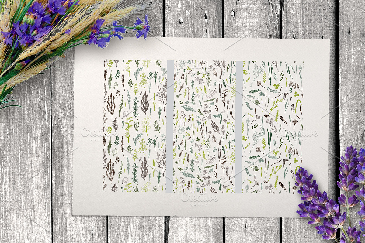 Wild field herbs. Botanical set., a Healthcare Illustration by Alena Kaz (Photo 4 of 12)