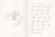 Allure & Grace. Calligraphy, a Script Font by AnMark (Thumbnail 11 of 15)