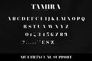 Tamira - Luxe Serif Typeface, a Serif Font by VP Fonts (Thumbnail 8 of 12)