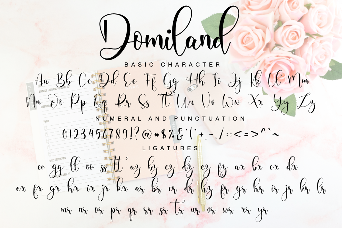 Domiland Script, a Script Font by Nissa Studio (Photo 11 of 12)