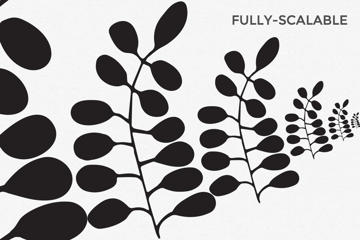 Hand Drawn Vector Leaves & Branches, an Illustration by Hello Brio (Photo 3 of 5)