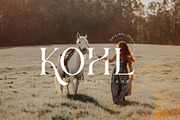 Fligen - Stylish Serif, a Serif Font by BrandSemut (Thumbnail 6 of 10)