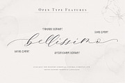 Giselle Script, a Script Font by Calamar Studio (Thumbnail 17 of 19)