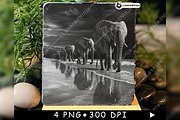 Elephants Group Walking Herd Beach, a Background Graphic by LaseredNinja (Thumbnail 7 of 7)