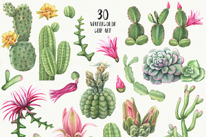 Tropical And Cacti Bundle