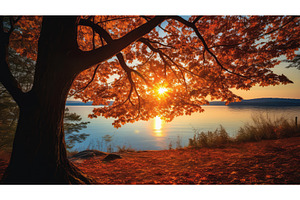 orange light through leaves ai, a Background Photo by pikepicture