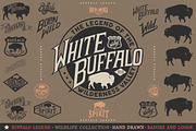 BUFFALO LEGEND, an Animal Illustration by Artistic & Unique (Thumbnail 1 of 8)