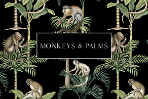 Monkeys and palms