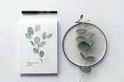 Eucalyptus Foliage Watercolor Set, an Illustration by Catch the Dream Art (Thumbnail 6 of 7)