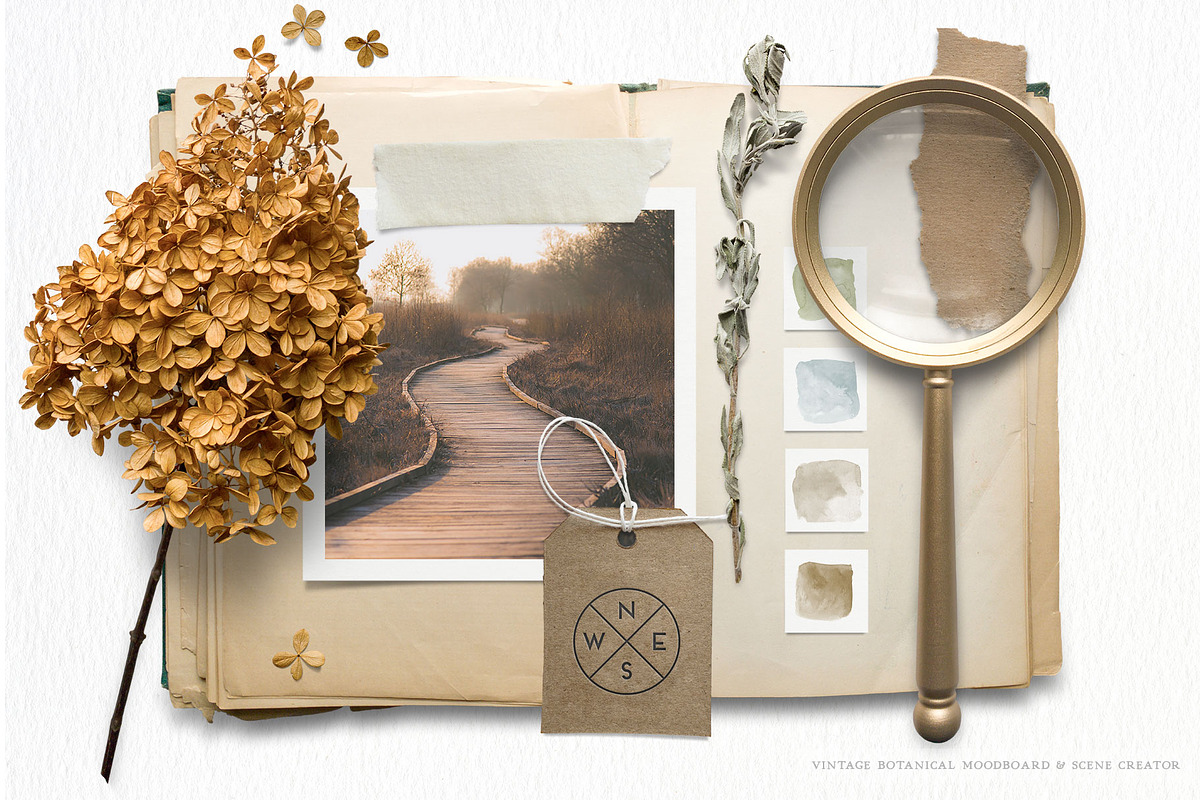 Botanical Moodboard Scene Creator, an Advertising Mockup by Eclectic Anthology (Photo 5 of 14)