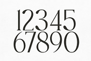 Polais – Modern Luxury Serif, a Serif Font by HipFonts (Thumbnail 5 of 9)