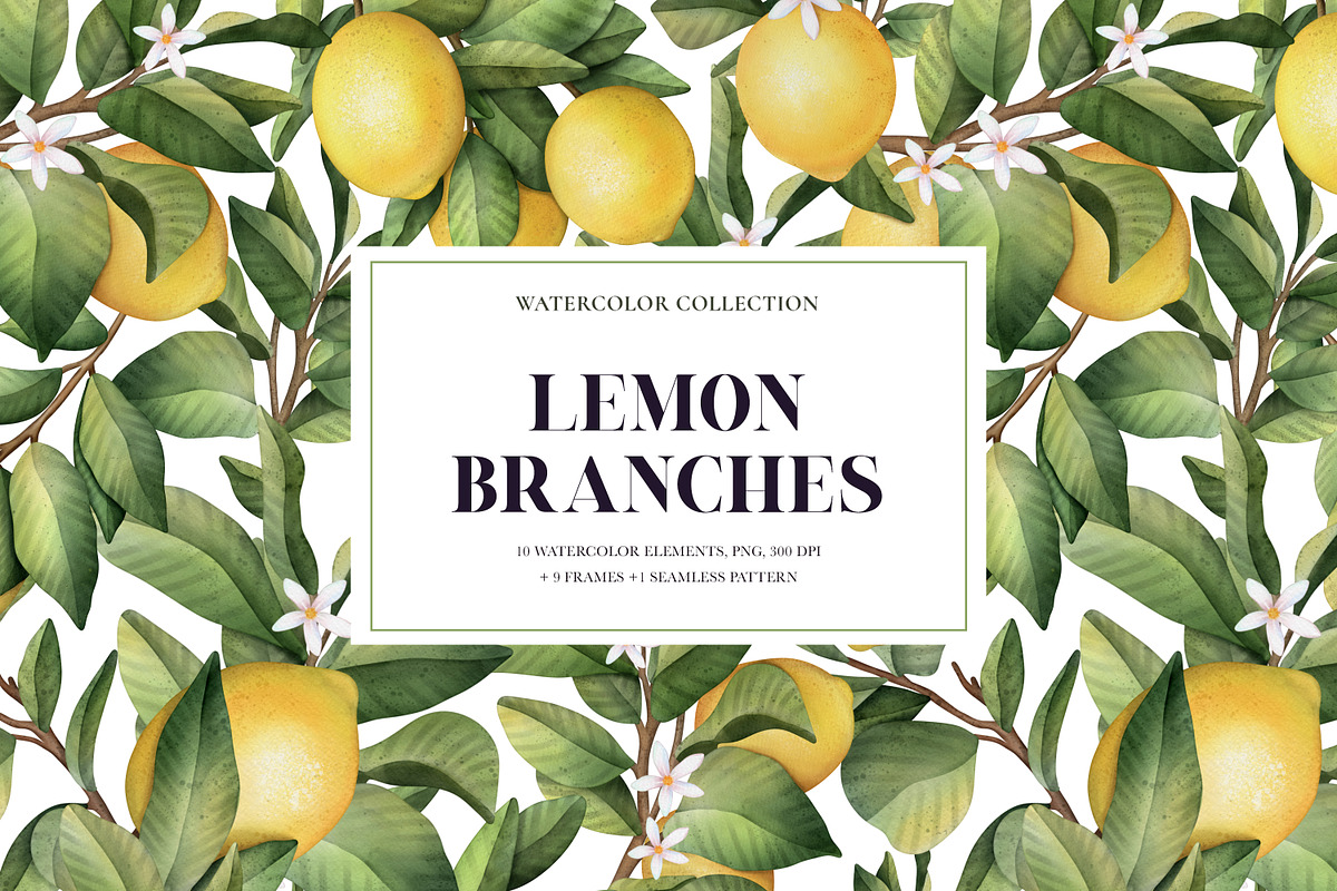 Lemon branches. Watercolor PNG, an Illustration by OlyaGutArt (Photo 1 of 4)