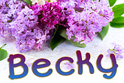 Becky Heavy, a Sans Serif Font by The Thrill of Design (Thumbnail 5 of 6)