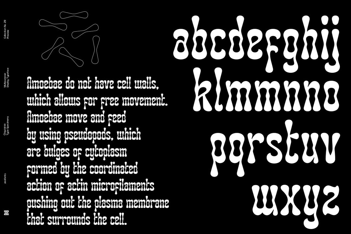 CLAYCOZOA, a Serif Font by Bagerich Type Foundry (Photo 5 of 13)