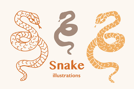 Hand drawn Snake illustrations