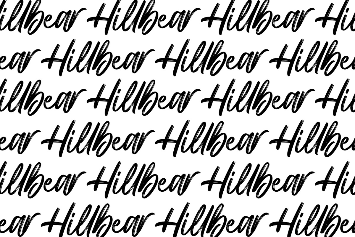 Hillbear - Handbrush Script Font, a Script Font by StringLabs (Photo 5 of 7)
