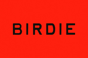 Birdie | Vintage Print Font, a Handwritten Font by Taylor Penton
