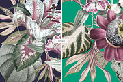 Tropica Pattern And Motifs, a Pattern Graphic by LEAFure (Thumbnail 6 of 9)