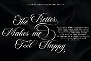Gadiani Font, a Script Font by Queenopstudio (Thumbnail 2 of 16)