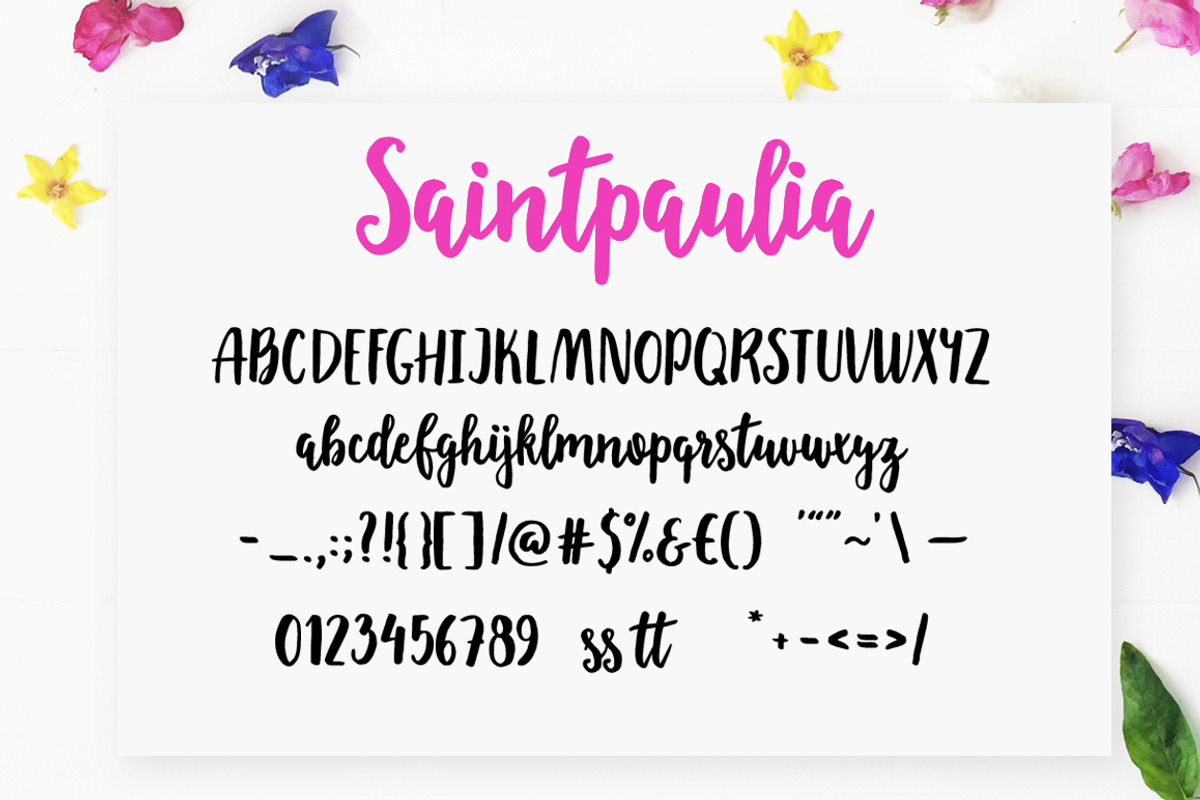 Saintpaulia preview 6