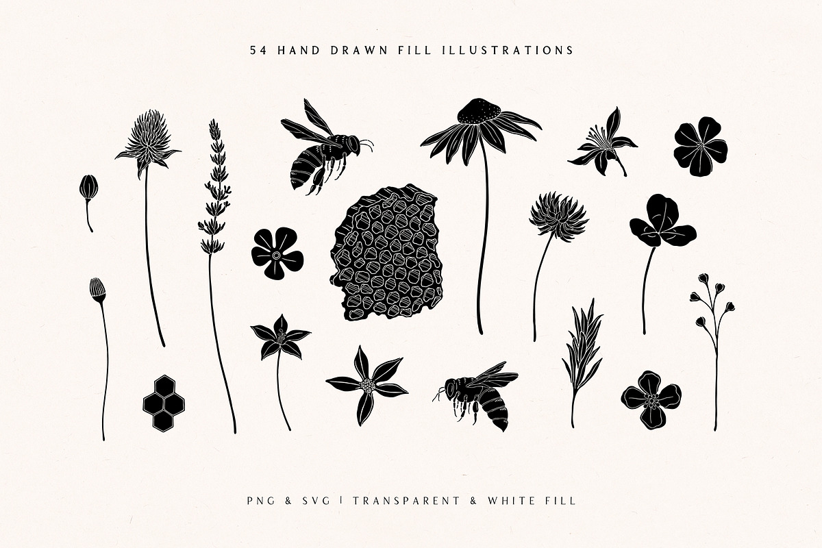 Wild Honey Vector Illustrations, a Decorative Illustration by rouxsupplyco (Photo 6 of 14)