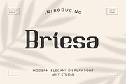 Briesa - Modern Elegant Display Font, a Font by Mily Studio (Thumbnail 1 of 15)
