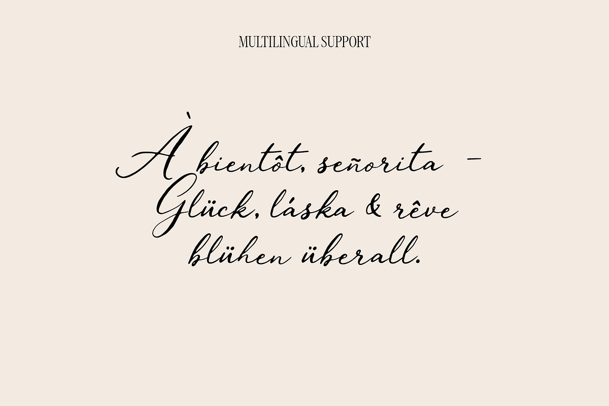 Vintage Elegance Script, a Script Font by BilberryCreates (Photo 9 of 9)