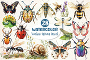 Vintage Spring Insect Clipart, an Illustration by Dream Creation (Thumbnail 1 of 6)