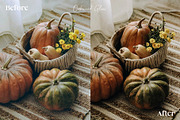 15 Autumn Inspired Lightroom Presets, a Preset Add-On by HipFonts (Thumbnail 3 of 10)