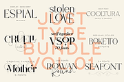 Just Type Bundle Vol.01 - 300 fonts, a Serif Font by VP Fonts (Thumbnail 1 of 19)