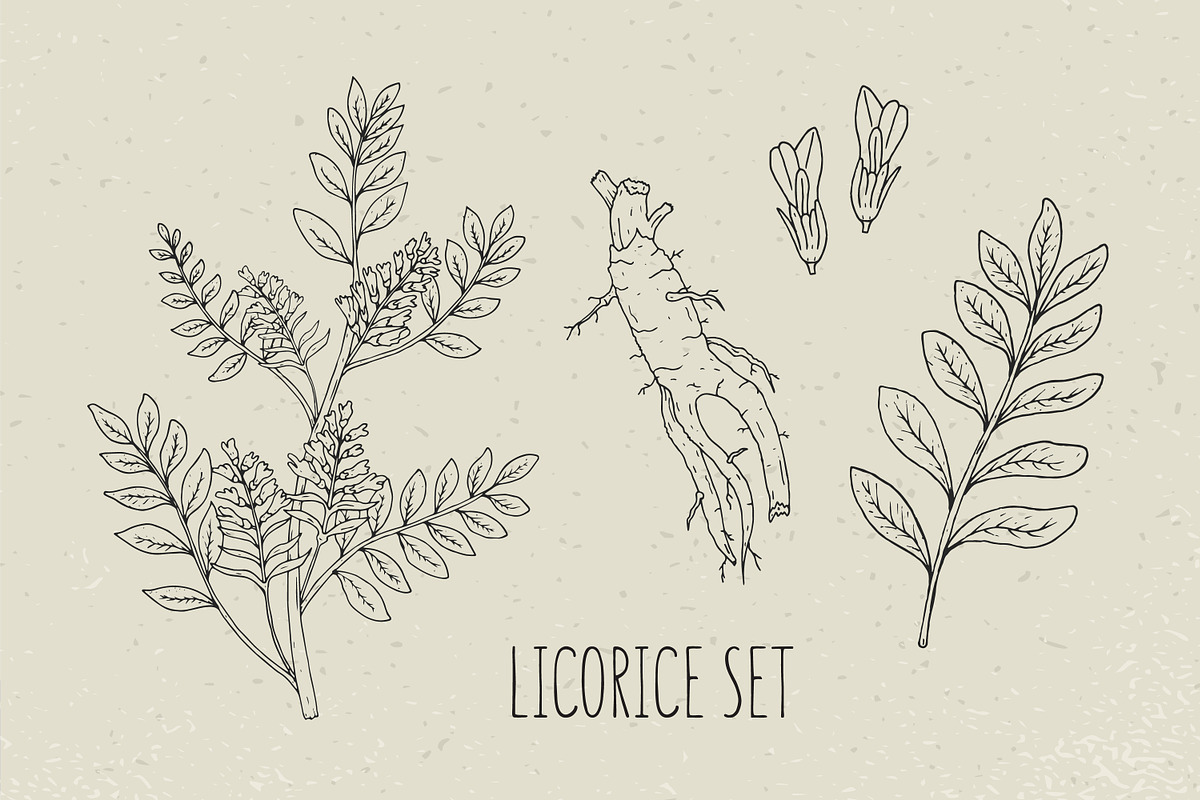 Licorice set and seamless pattern, a Decorative Illustration by Good Studio (Photo 2 of 5)